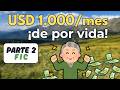 Cómo construir tu propia jubilación con Fondos de Inversión Colectiva