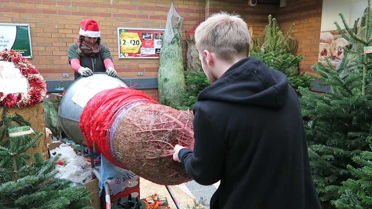 Infographic reveals the tricks stores use to boost sales at christmas CHRISTMAS TREE SHOPPING - YouTube