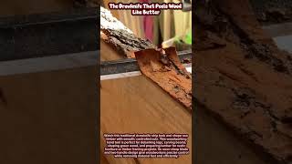 The Drawknife That Peels Wood Like Butter #woodworking #tools #wood #craftsmanship