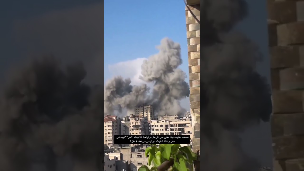 Thumbnail: Documentation of Israeli war crimes, 2024