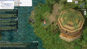 [WIZARD] Ice wall leveling - Ragnarok Online