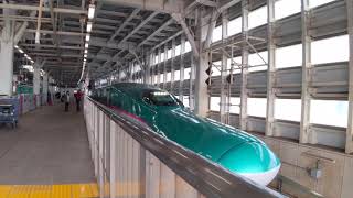 北海道・東北新幹線 はやぶさ22号 東京行き E5系U42編成 2024.01.06