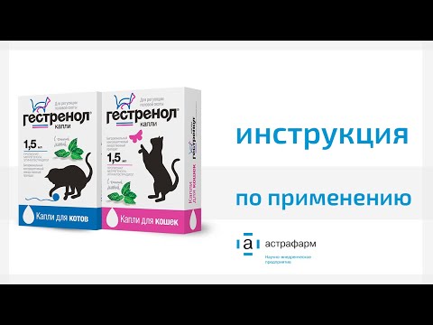 Гестренол капли для кошек и котов. Инструкция по применению