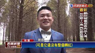 落羽松黃轉綠變色中新人拍婚紗取景－民視新聞