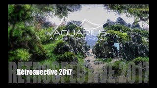 Aquarilis Aquatic Design La Retrospective 2017 - Laquascaping Sous Toutes Ses Formes