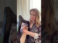 How does this harp sound? Gear4music 12-string harp