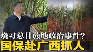 火烧习近平甘蔗地“政治事件”?广西政府高度紧张!国保赶赴现场追查;政商勾连反扑猛,习家族恐惧陡增 | #官场周围(004) 火烧习近平甘蔗地“政治事件”?广西政府高度紧张!国保赶赴现场追查;政商勾连反扑猛,习家族恐惧陡增 | #官场周围(004)