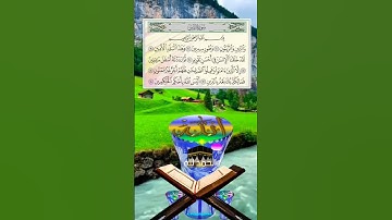 والتين والزيتون 🕌🥀 حالات واتس اب قرآن كريم