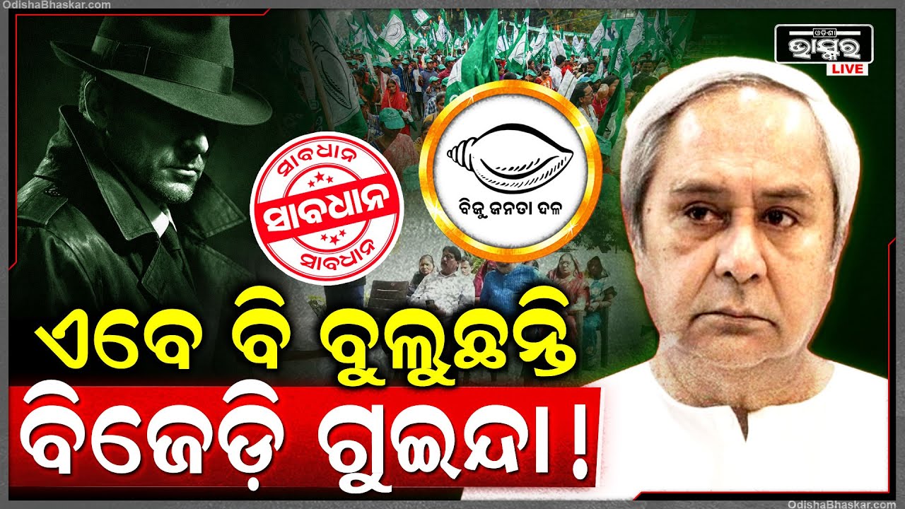 ଏବେବି ଆକ୍ଟିଭ ବିଜେଡି ଗୁଇନ୍ଦା  ,ଦେଉଛନ୍ତି ଶଙ୍ଖପତିଙ୍କୁ ଟିକନିଖ ଖବର  Intelligence Working For BJD