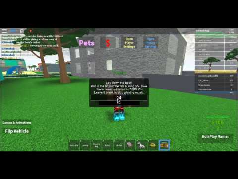 Roblox Song Id Flight By Tristam And Braken - 