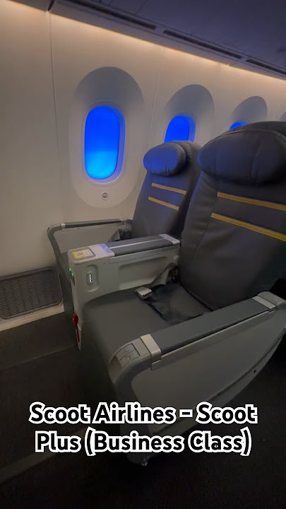 Scoot Airlines - Scoot Plus (Business Class) #flight #scoot #singapore #businessclass #aviation