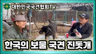 한국의 보물 국견 진돗개 | 대한민국국견협회TV