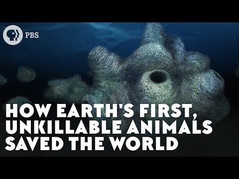 ⁣How First Unkillable Animals Saved the World