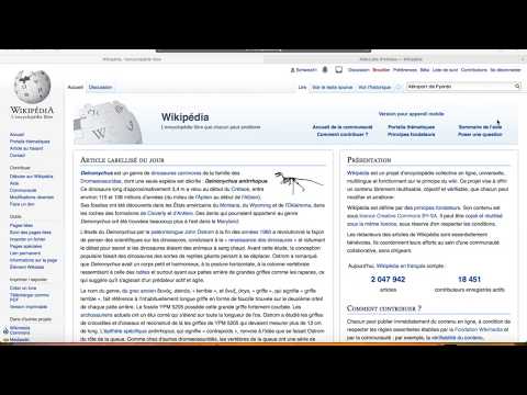 wiki article template