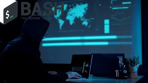 bash script free learning video for beginner part 1