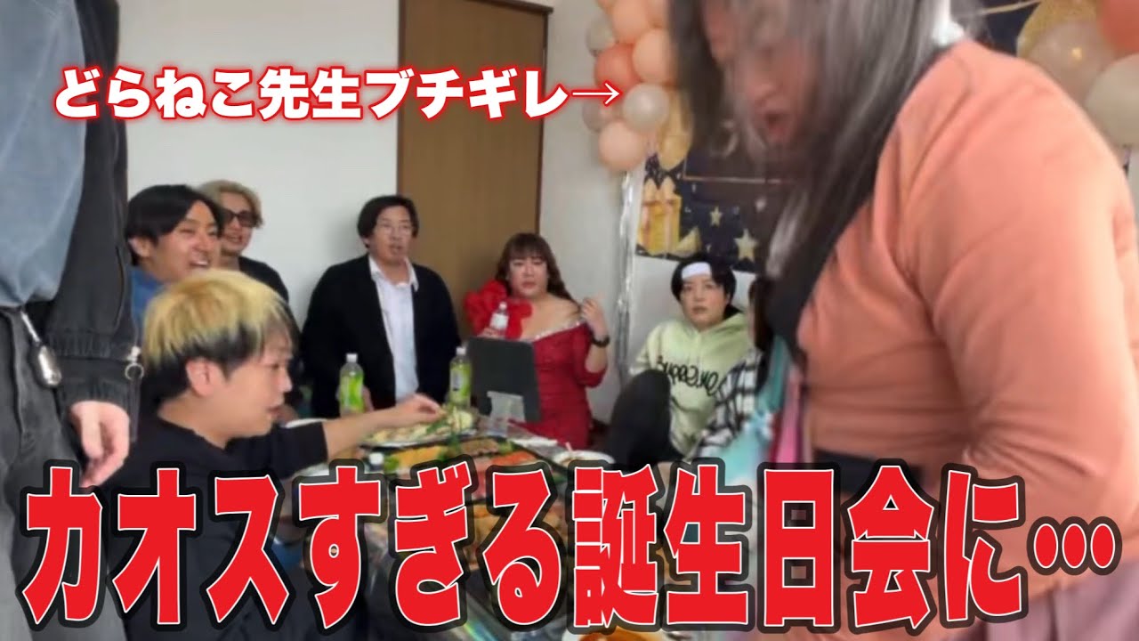 誕生日会でどらねこ先生と愛子が大喧嘩…🚨まさかの警察出動…とんでもない誕生日プレゼントが届き大混乱に…