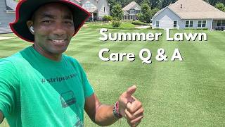 Summer Lawn Care - Golf Course Lawn - 309