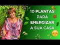 10 Plantas para Energizar Sua Casa!!