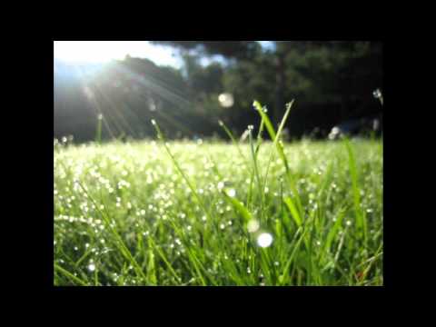 უგინარო გოთანედჷ  - ლია ანთია