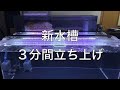 【アロワナ飼育】新水槽 ３分間立ち上げ