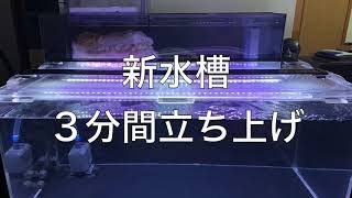 【アロワナ飼育】新水槽 ３分間立ち上げ