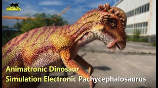 Simulation Electronic Pachycephalosaurus Dino Model | Animatronic Dinosaur