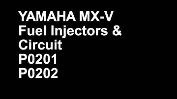 Fuel Injectors and Circuit