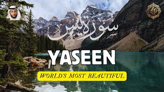 World's Most Calming Recitation of Surah Yasin (Yaseen) سورة يس | Al-Muaiqly Maher