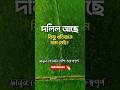 দলিল আছে খতিয়ানে নাম নেই? জমি নিয়ে পড়তে পারেন বিপদে! জানুন কোনটা বেশি গুরুত্বপূর্ণ? #জমিরখবর #shorts
