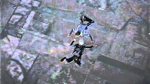Dustin Ordner/Tim Bilbrey Skydive