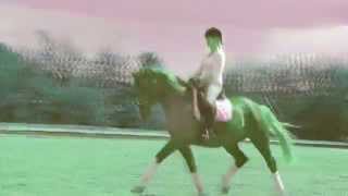 The Map That Leads To You - Damiana Rpz Diamiro