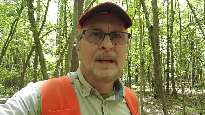 Creating Wildlife Openings