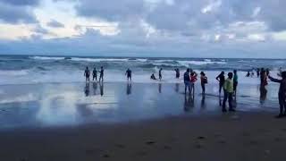 Puri beach GIF