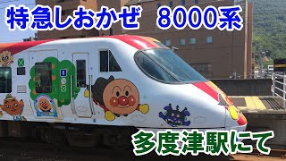 【過去動画】2019/ 08/ 17　宇多津駅　8000系　特急しおかぜ９号　松山行き　アンパンマン列車