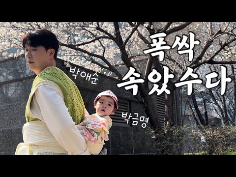 [박수홍 행복해다홍] 5개월 재이의 생애 첫 벚꽃 | 아가와 아빠 | 반백살 육아 | 폭싹속았수다 | 애순이 금명이 |