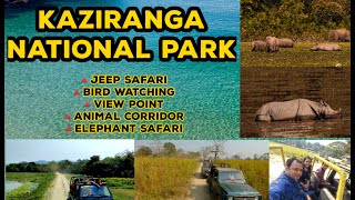 Kaziranga National Park Jeep Safari//Kaziranga Facts//Animal and Bird View Point//UNESCO???