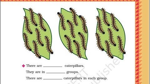 Chapter 12 Can we Share Part 1 | Grade 3 Mathematics | NCERT | CBSE