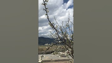 Welcome spring #shortsvideo #automobile #amazingsky #clouds #motion