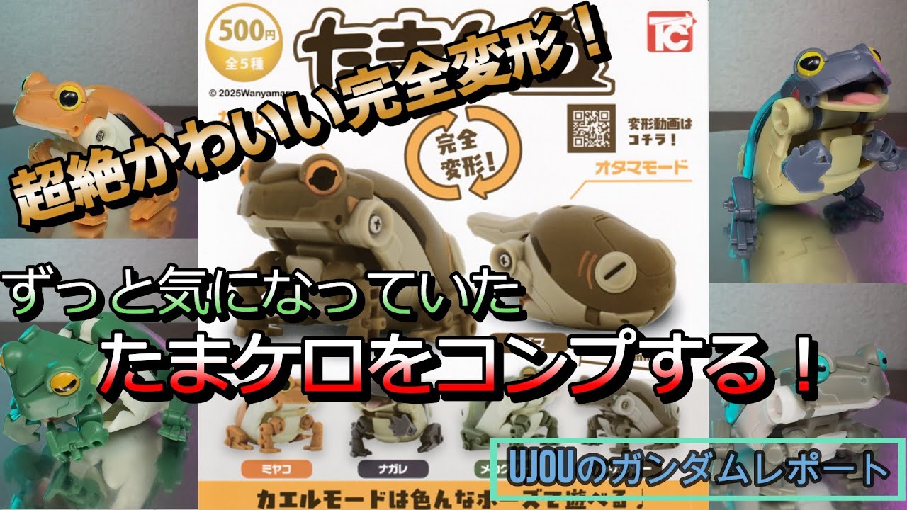 Super cute, completely transformable! A detailed review of