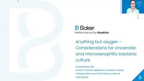 Anything but oxygen - Considerations for anaerobic and microaerophilic bacteria culture