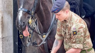 King’s Horse Happily Smiles as Trooper Brings Water 💦 to Cool Down in Very Sunny Day by The King's Guards and Horse UK 1,955 views 1 day ago 15 minutes