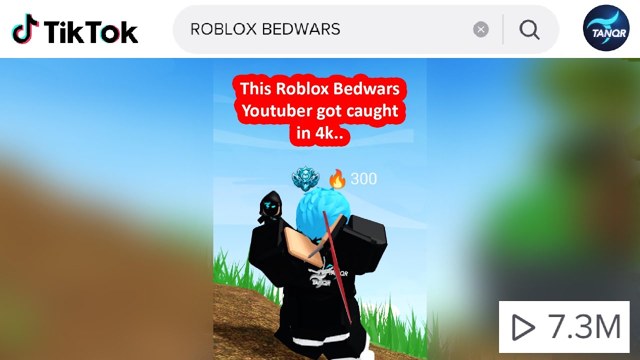 bedwars roblox script｜TikTok Search