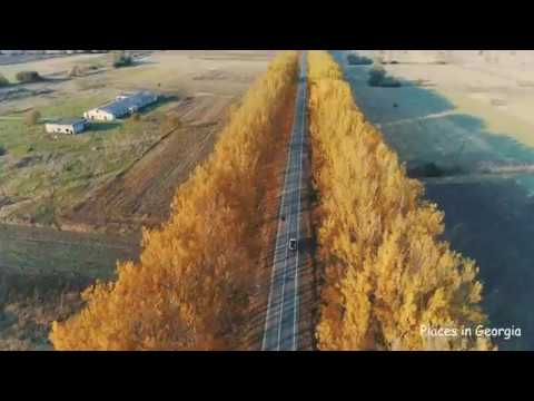 თიანეთი, საბადურის ტყე / Tianeti, Sabaduri Forest 4K