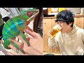 神レプアフタートークライブ【神戸レプタイルズワールド2022】