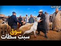 وثائقي مباشر من سوق السبت سطات الشاوية مع أثمنة الحولي العيد الأضحى بتاريخ 25 04 2026 