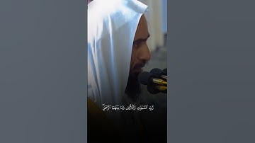 تلاوة من القرآن الكريم بصوت الشيخ أحمد بن طالب | سورة النبأ من آية ٣٧ إلى آية ٣٩ | تلاوة عطرة