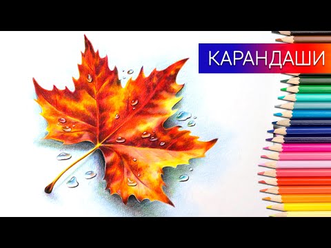 Как нарисовать кленовый лист цветными карандашами ✎ Таймлапс 👍 Рисуем кусочек осени