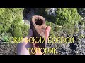 СКИФСКИЙ БОЕВОЙ ТОПОРИК#КОП2020 #DEUS