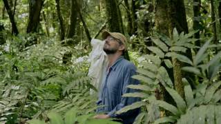 Hurricane 3D - Making Of | Fauna and Flora
