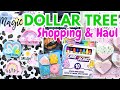 DOLLAR TREE Shopping &amp; Haul JULY 2023 #dollarstore finds Stationery